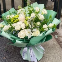 ˴ʻٵ